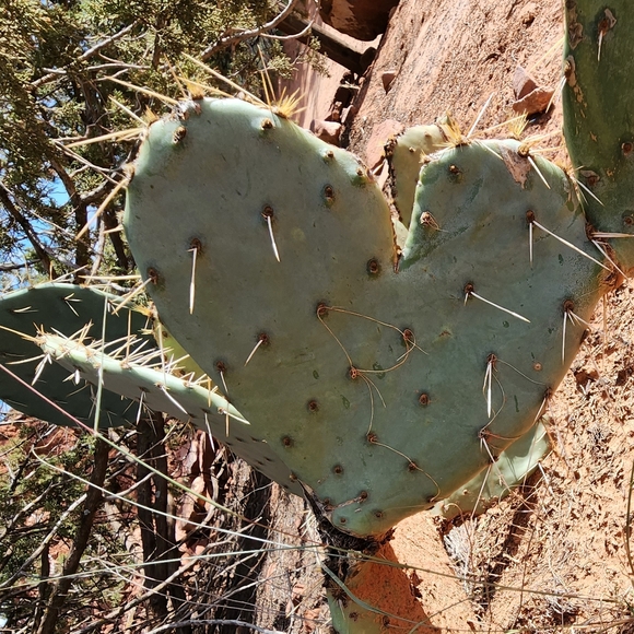 Make us offers!!! - Picture 8 of 8